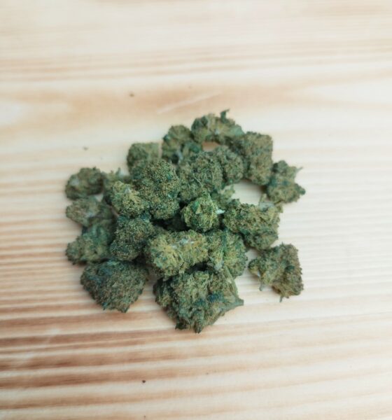 Bubblegum Small Bud – Image 2