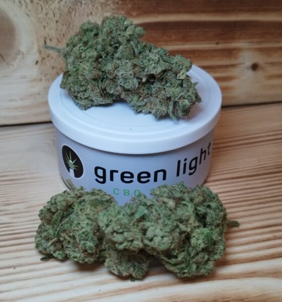 Blue Dream Indoor